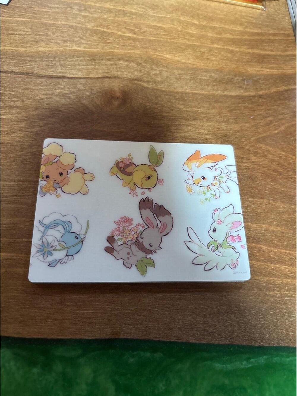 Cotie Pokemon double sided magnet